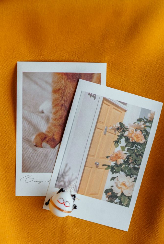 Simple Photo Photos, Download The BEST Free Simple Photo Stock Photos ...