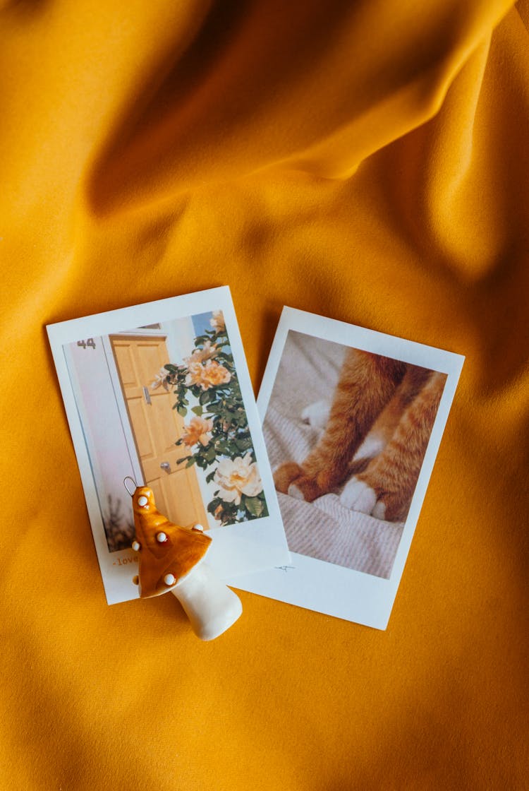 Polaroid Pictures And A Mushroom Figurine On Yellow Fabric