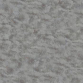 Gray Matter and White Matter