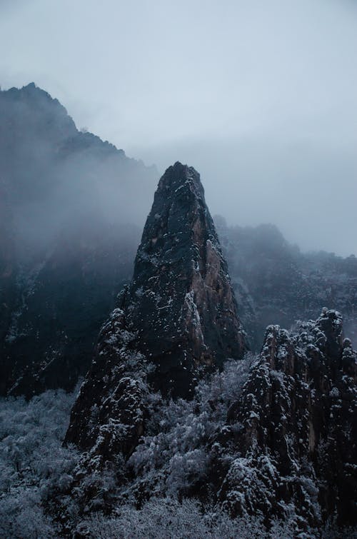 Foto profissional grátis de ao ar livre, árvores, céu sombrio