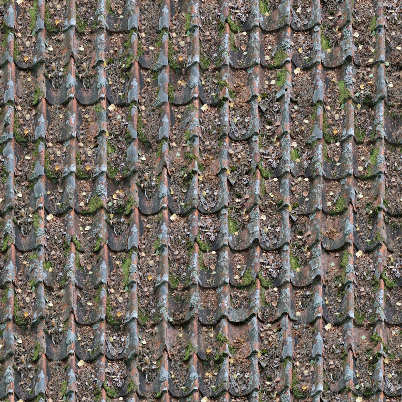 Detailed image of weathered roof tiles with moss growth, showing age and texture.
