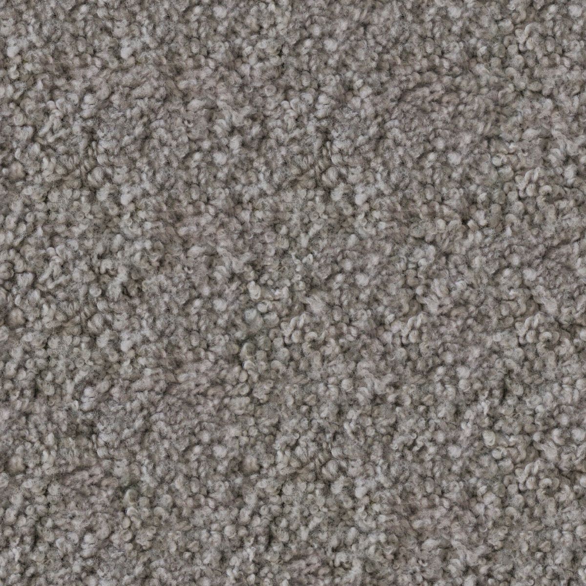 Wool Carpet