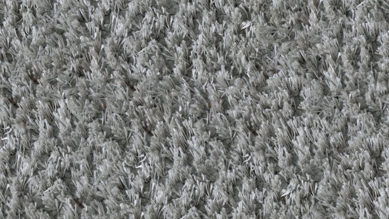 Carpet flooring in a real home