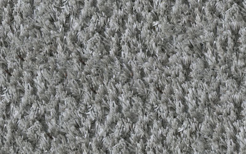 Carpet flooring in a real home