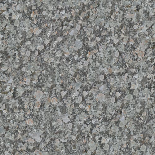 Spots on a Gray Stone Surface