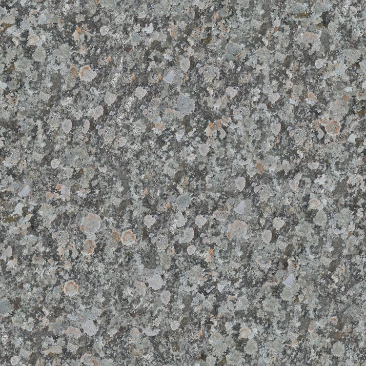 Spots On A Gray Stone Surface