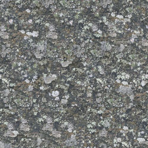Free Close-up of a textured, lichen-covered concrete surface with a natural pattern. Stock Photo