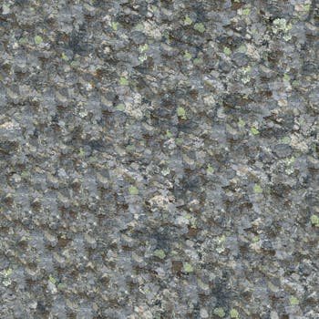 A close-up view of a speckled granite surface with natural lichen patterns and textures.