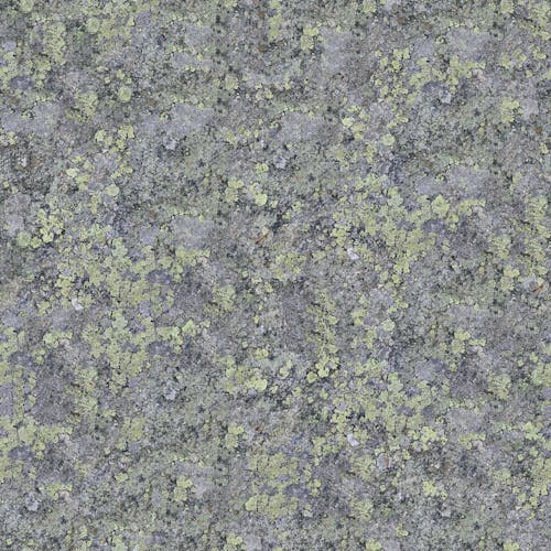 Green Speckles on a Gray Surface