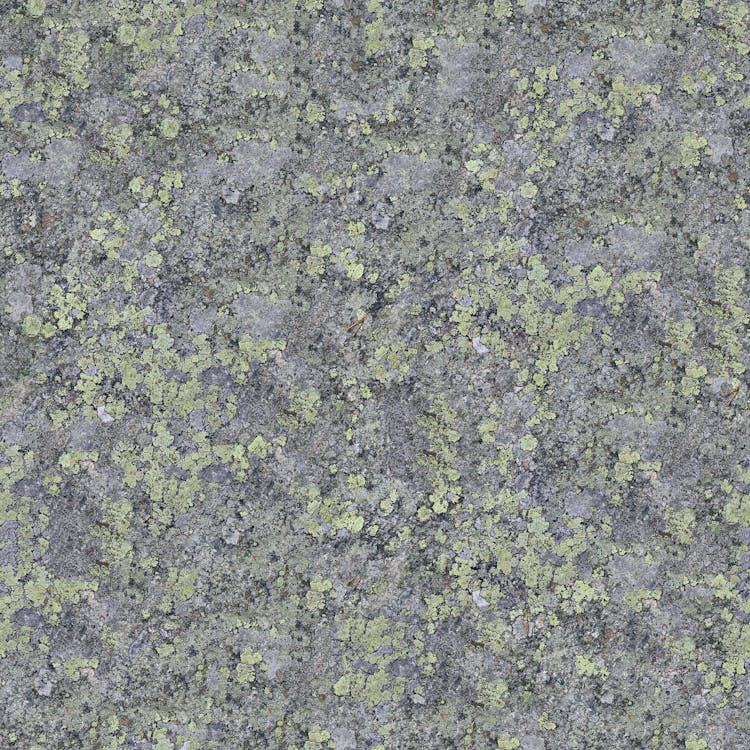 Green Speckles On A Gray Surface