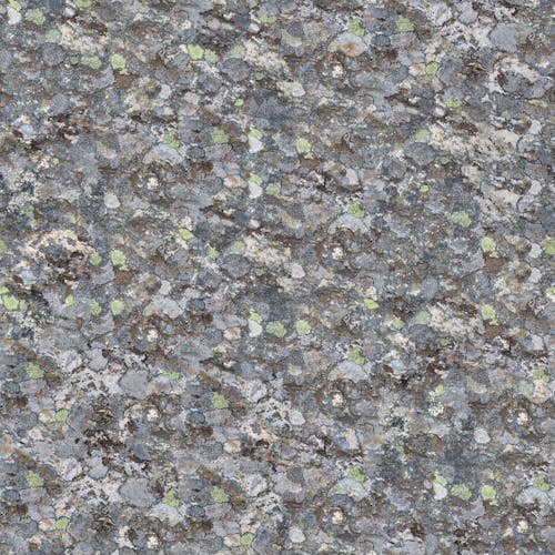 Green and Gray Rough Surface