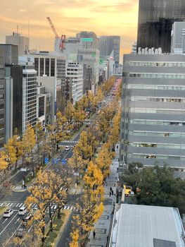 Aerial shot of a city street lined with autumn trees and skyscrapers at sunset.