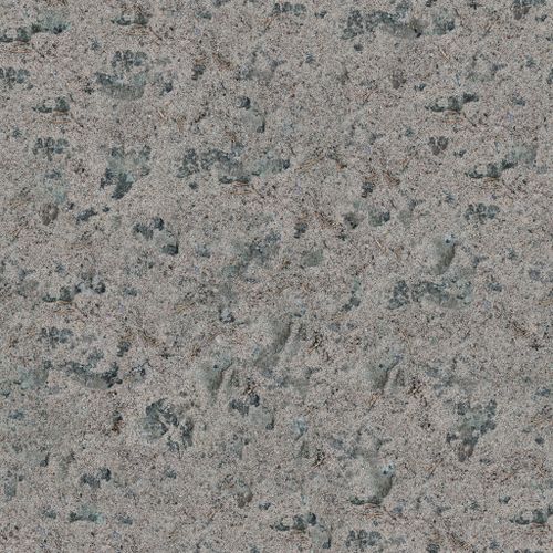 Free Close-up of sandy ground with various animal paw prints creating a rich texture. Stock Photo