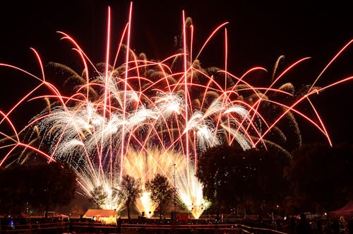 A Beautiful Fireworks Display Under a Dark Sky