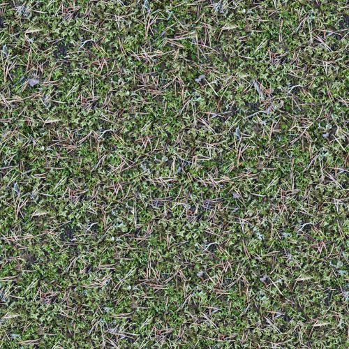 Free Close-up of dried grass and green leaves creating a natural, earthy ground texture. Stock Photo