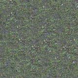 Seamless moss texture, photo by Seamlesstextures on Pexels