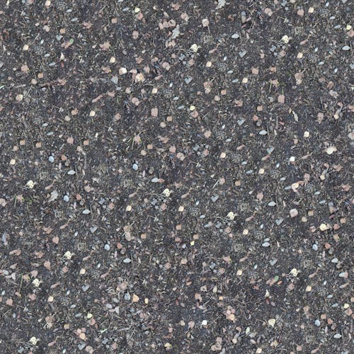 Black Ground with Pebbles and Dried Leaves