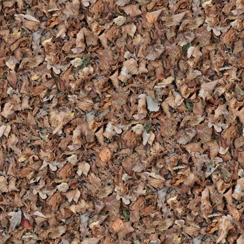 A Pile of Brown Dried Leaves on Ground