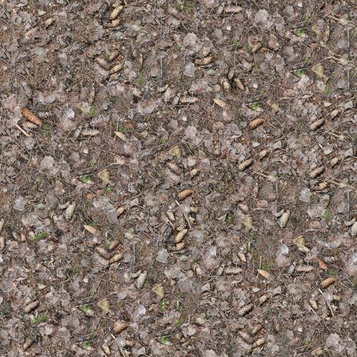 Free Detailed close-up of pine cones, twigs, leaves creating a natural texture. Stock Photo