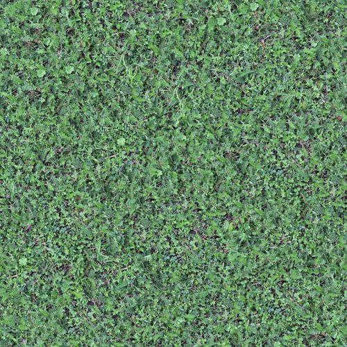 Free High-resolution lush green grass texture ideal for nature background projects. Stock Photo