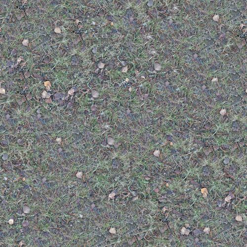 Free High-resolution seamless texture of dry grass and soil with scattered rocks and stones for digital backgrounds. Stock Photo