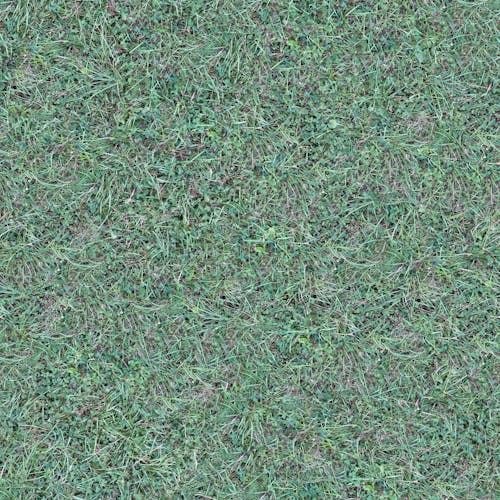 Kostenloses Stock Foto zu boden, erde, grünes gras