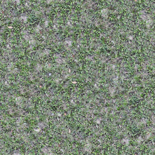 Square Format of Green Grass on the Ground