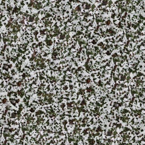 Seamless Texture of Snow on Grass