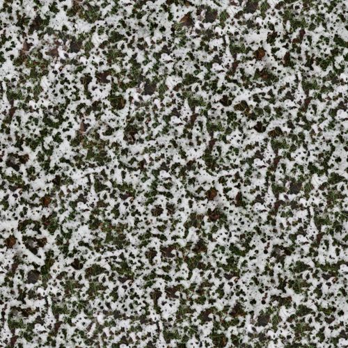 Free Detailed close-up texture of snow-dusted grass captured from above, ideal for seamless backgrounds. Stock Photo