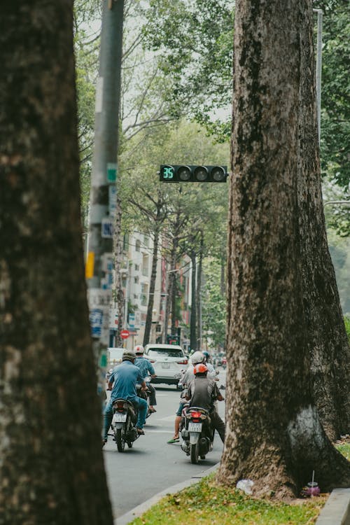 Photo of Men Riding Motorcycles Near a Tree