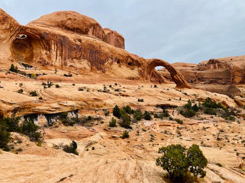 Foto profissional grátis de arco natural, árido, campo