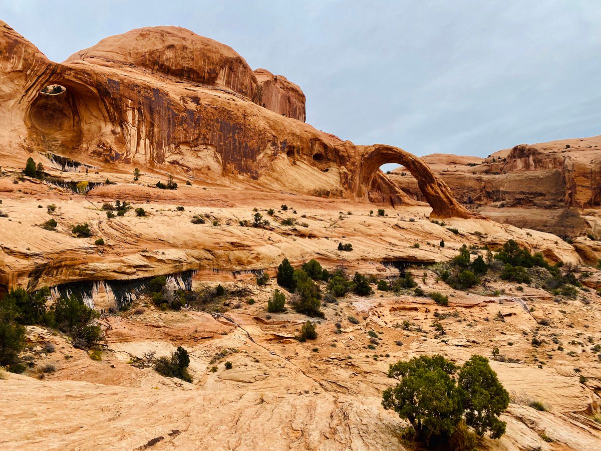 Desert canyon hike