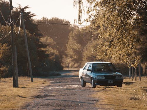 Gratis stockfoto met auto, bomen, buiten