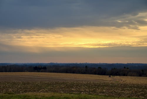 Gratis stockfoto met akkerland, boerderij, boom