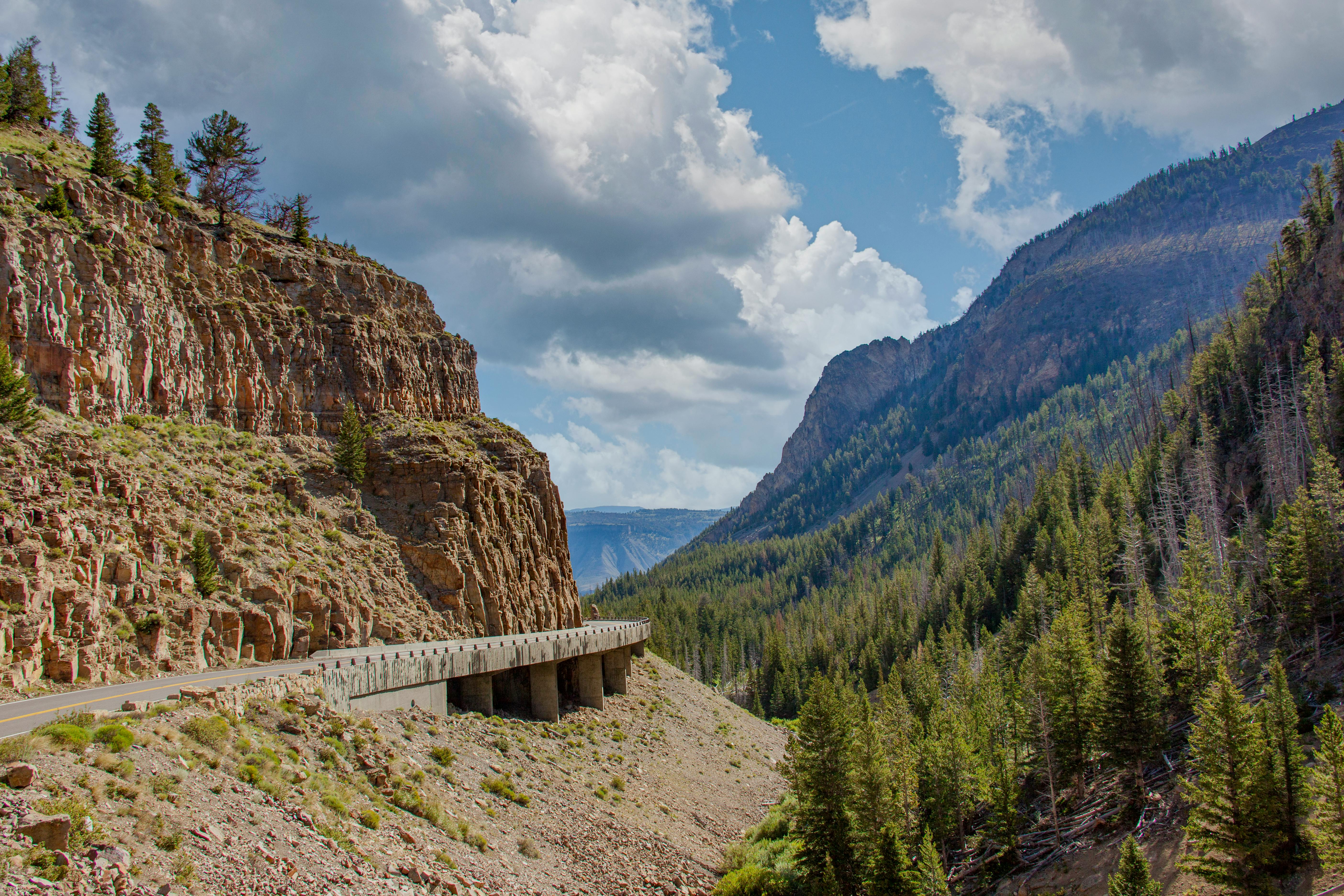 Road Along a Mountain Cliff Near Coniferous Trees · Free Stock Photo