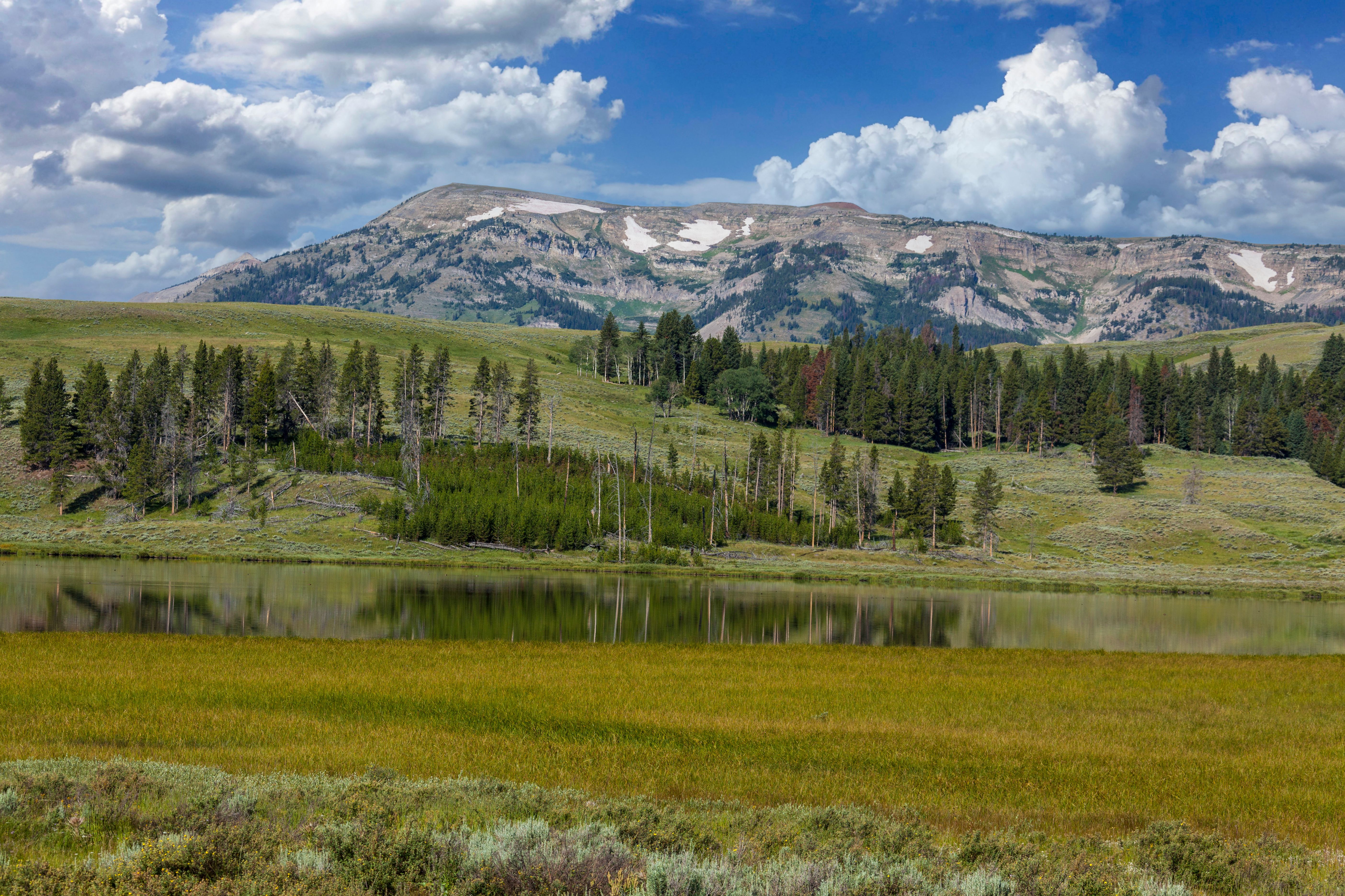 Green Trees Near Lake and Mountain Under Blue Sky · Free Stock Photo