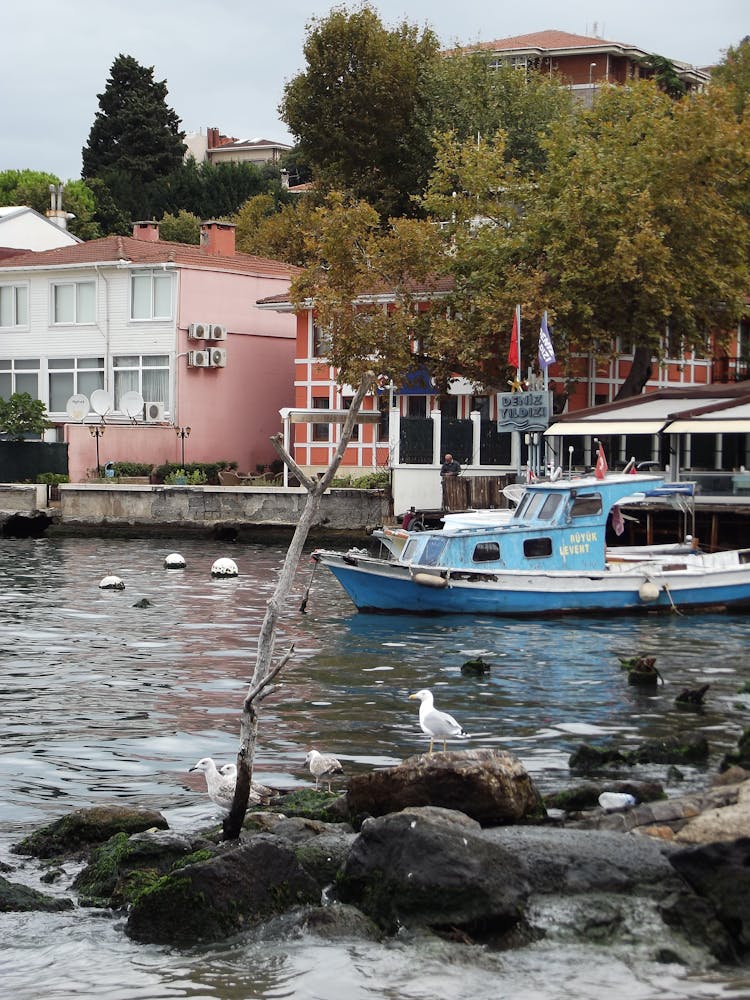 Boat On Water Near Buildings And Green Trees