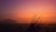 薄雾笼罩的田野上，宁静的日落映照着轮廓分明的草地和色彩鲜艳的天空