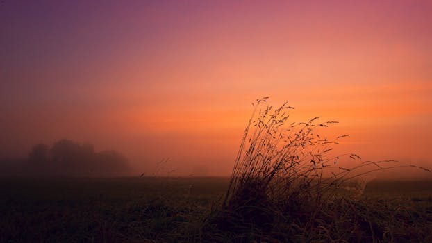 薄雾笼罩的田野上，宁静的日落映照着轮廓分明的草地和色彩鲜艳的天空