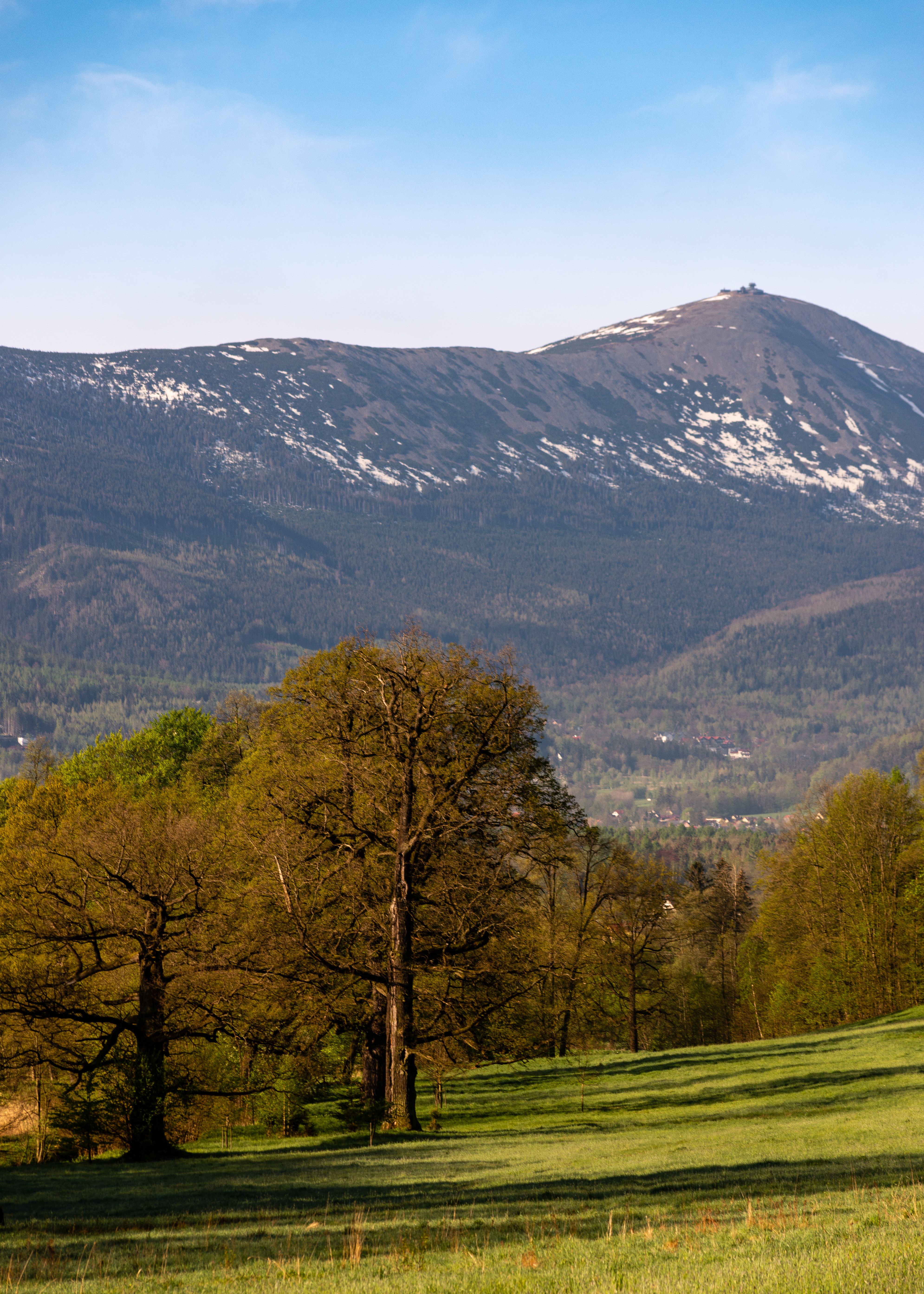 Meadow with grass and trees near hills · Free Stock Photo