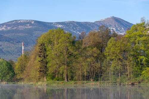 Kostenloses Stock Foto zu bäume, berg, blauer himmel