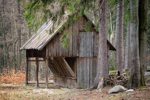 Foto profissional grátis de abandonado, cabine, celeiro