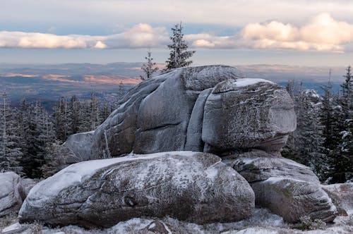 Snow Covered Boulders and Coniferous Trees
