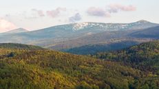 Green Trees on Mountains Under White Clouds