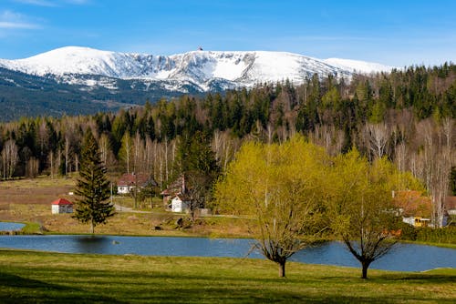 Immagine gratuita di acqua, campagna, case