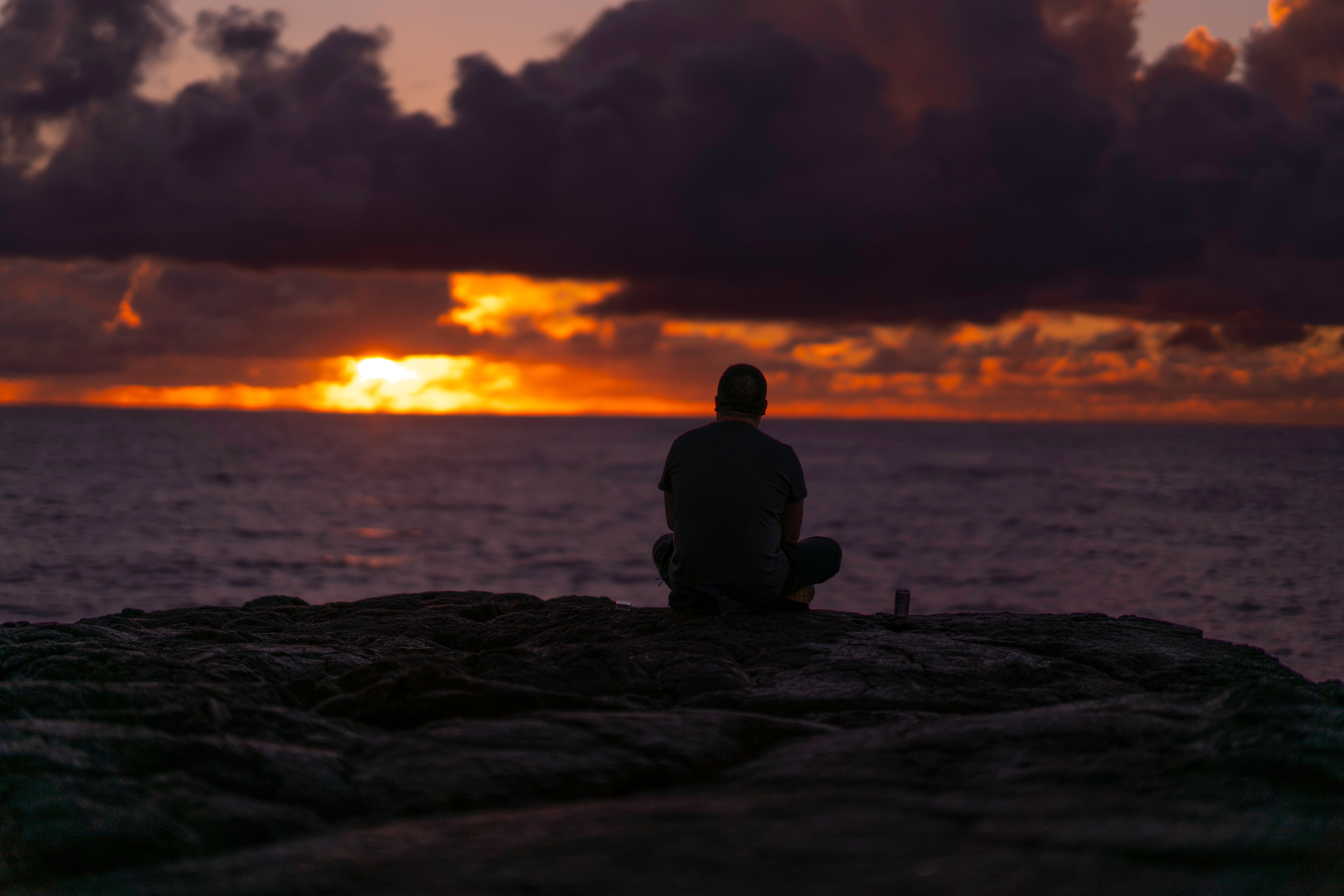 Back View of a Man Sitting Near the Sea · Free Stock Photo