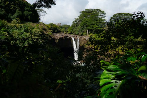 Waterfall in Rainforest