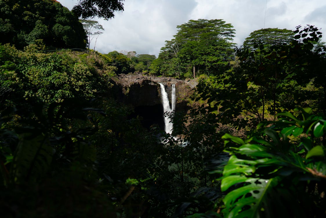 Waterfall in Rainforest