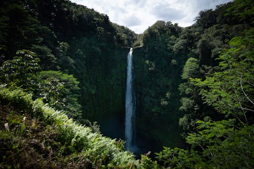 Gratis lagerfoto af bevægelse, cascading, flyde