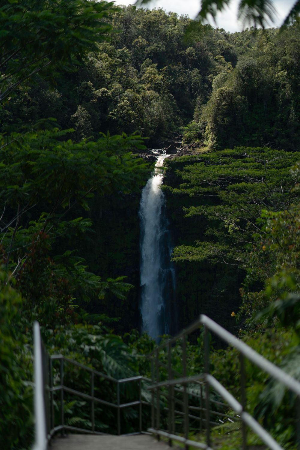 Wtaerfall Tree Waterfall Among Trees · Free Stock Photo